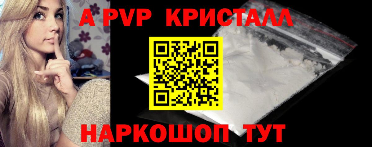 A-PVP СК КРИС Калининград