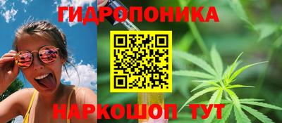 каннабис Гатчина