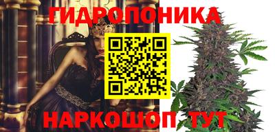 мдма Гай