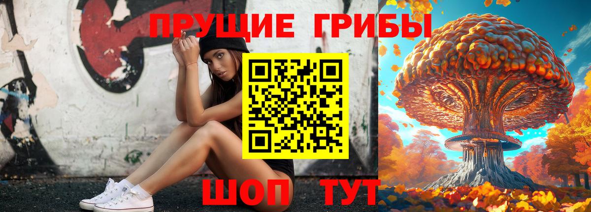Псилоцибиновые грибы Psilocybine cubensis Калининград