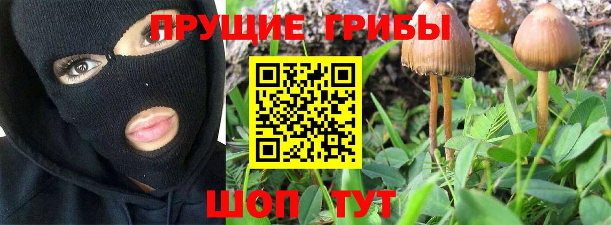 Псилоцибиновые грибы мухоморы  Вход с VPN  магазин    Калининград 