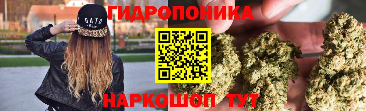 Каннабис гибрид Калининград